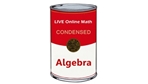 Condensed Algebra